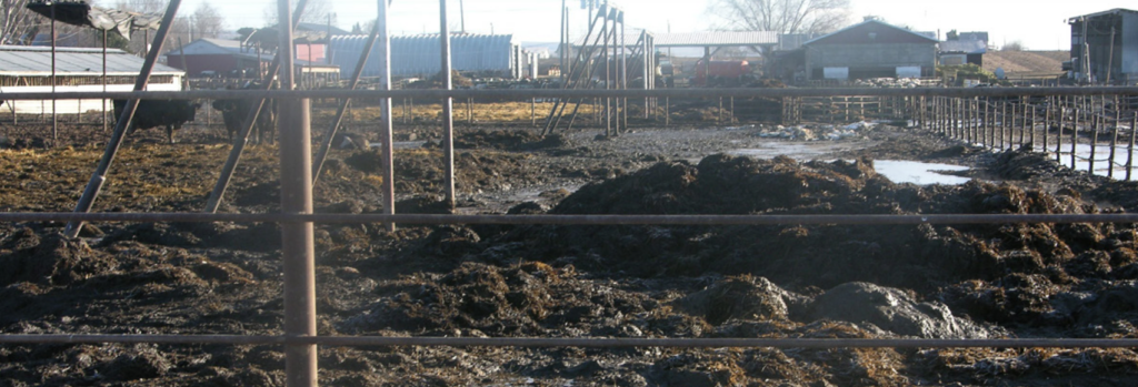Élevage industriel pour méthanisation / Mansle - Aussac - Charente